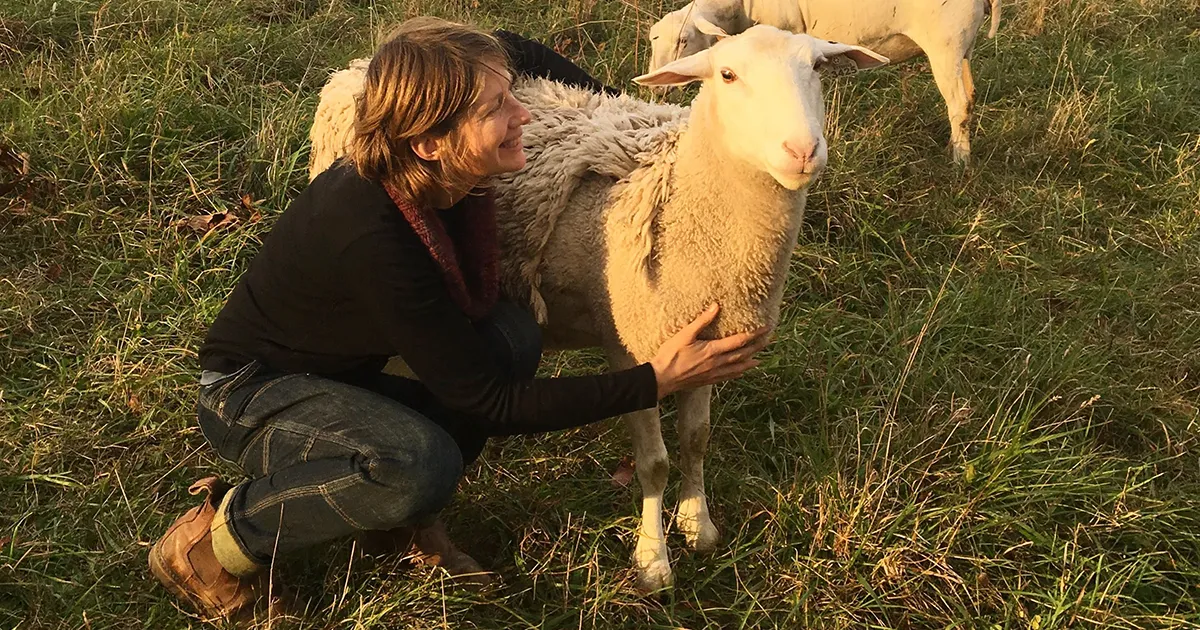 Cómo obtener animal welfare certs en actividades ecológicas del Planetario Cozumel