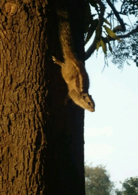 Illustration: ¿Cómo la Tecnología 3D Inmersiva del Planetario de Cozumel Crea Experiencias Únicas?