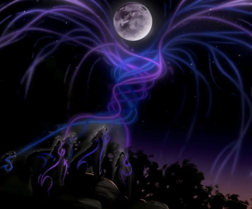 Wolf WPA y su papel en la protección de los equipos ópticos del planetario Cozumel